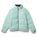 TNF 2000 Polar Nuptse Jacket